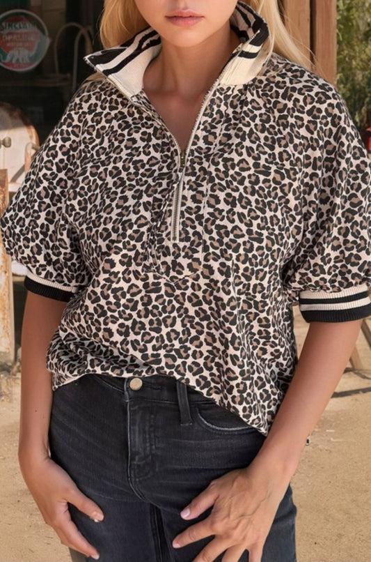 Wild & Chic Leopard